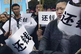 遭遇借贷宝逾期催收：如何应对？